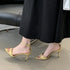 Pointed Toe Ankle Strap Gladiator Heels For Women Sandal